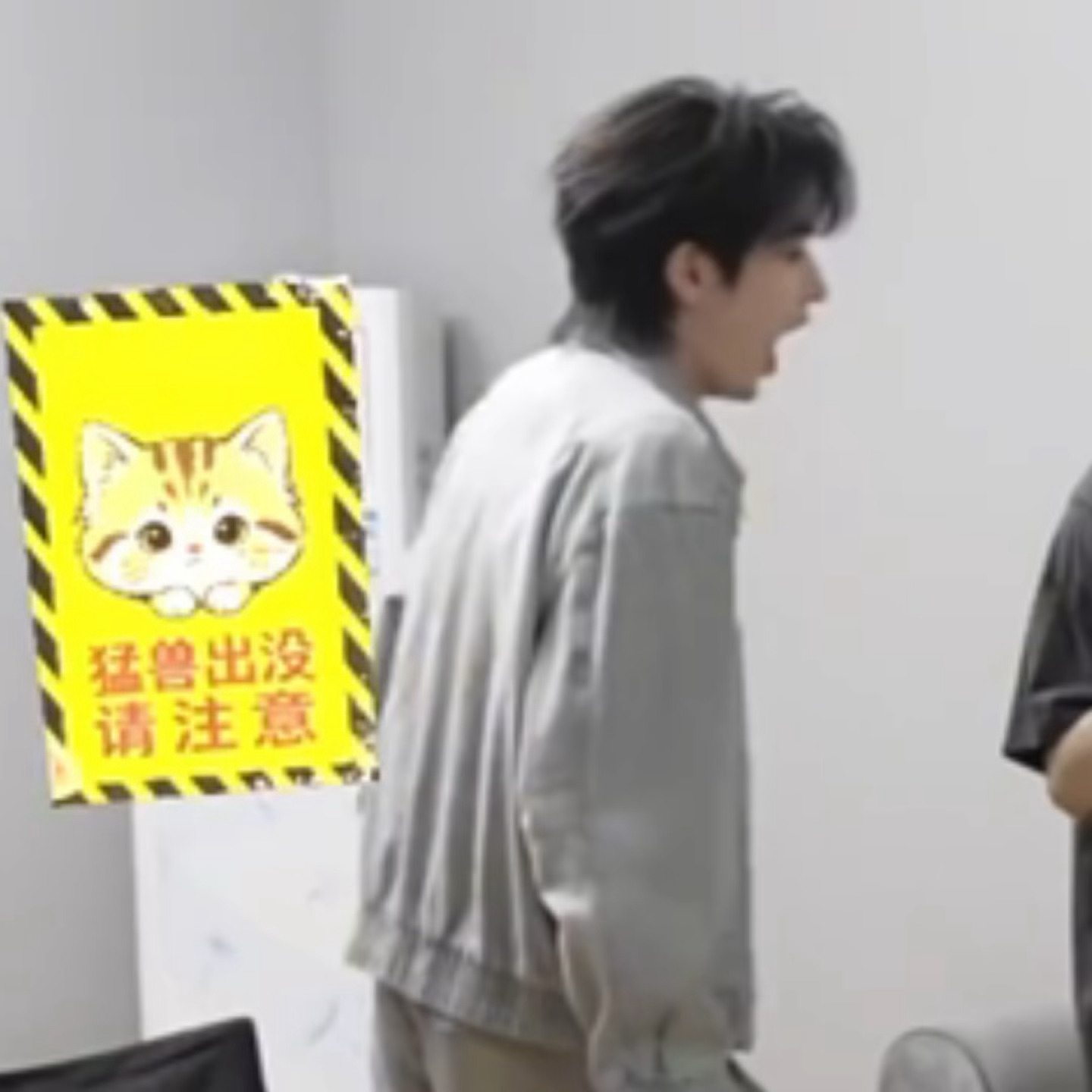 萌虎 