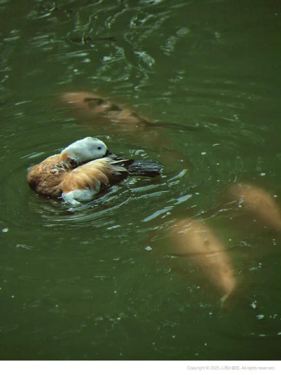 【福州国家森林公园】

今日气温回升，阳光正好！快出门踏青去，在森林秘境邂逅你的