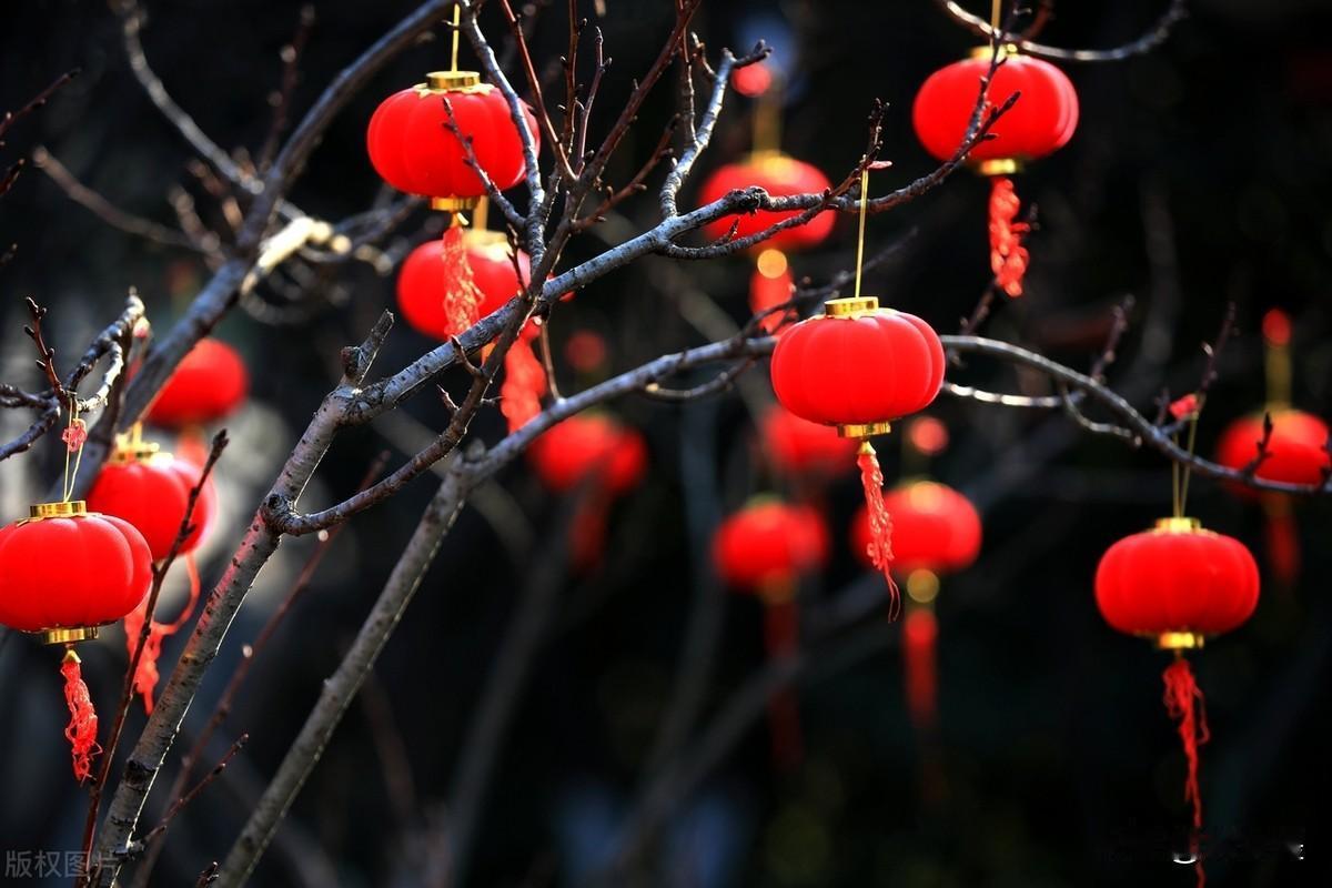 理想与现实之间，隔着生活的喧嚣。后来，如众人所愿，却非我心所向。今日风大，自由仿