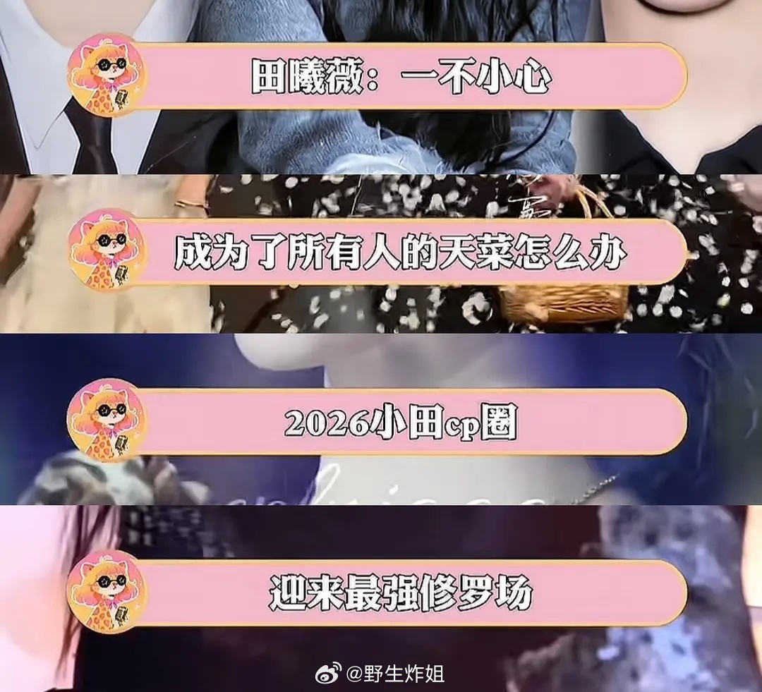 内娱新来了个万人迷 