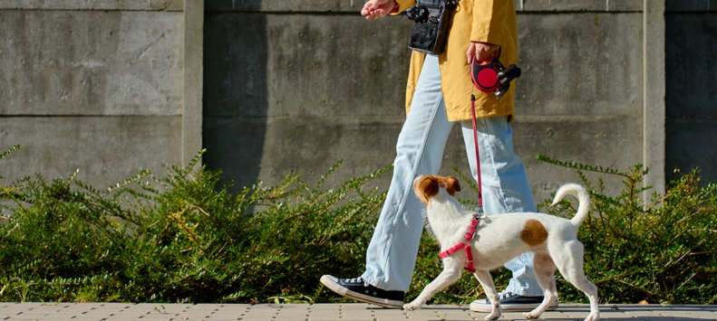 #走路是最稳定的长寿运动#【一项被低估的长寿运动，跑步和举铁都不如它】#走路可将