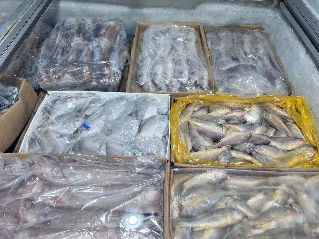 宁波休渔期冻品海鲜供应充足品类丰富 5月起宁波进入伏季休渔期，本地野生海鲜供应减