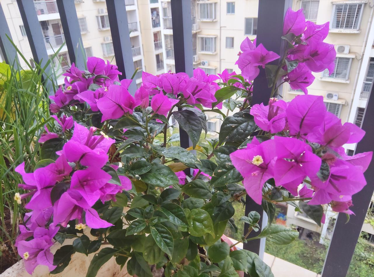 生活的馈赠，就藏在你日复一日的努力中，所有看似从天而降的幸运，都不过是厚积薄发的