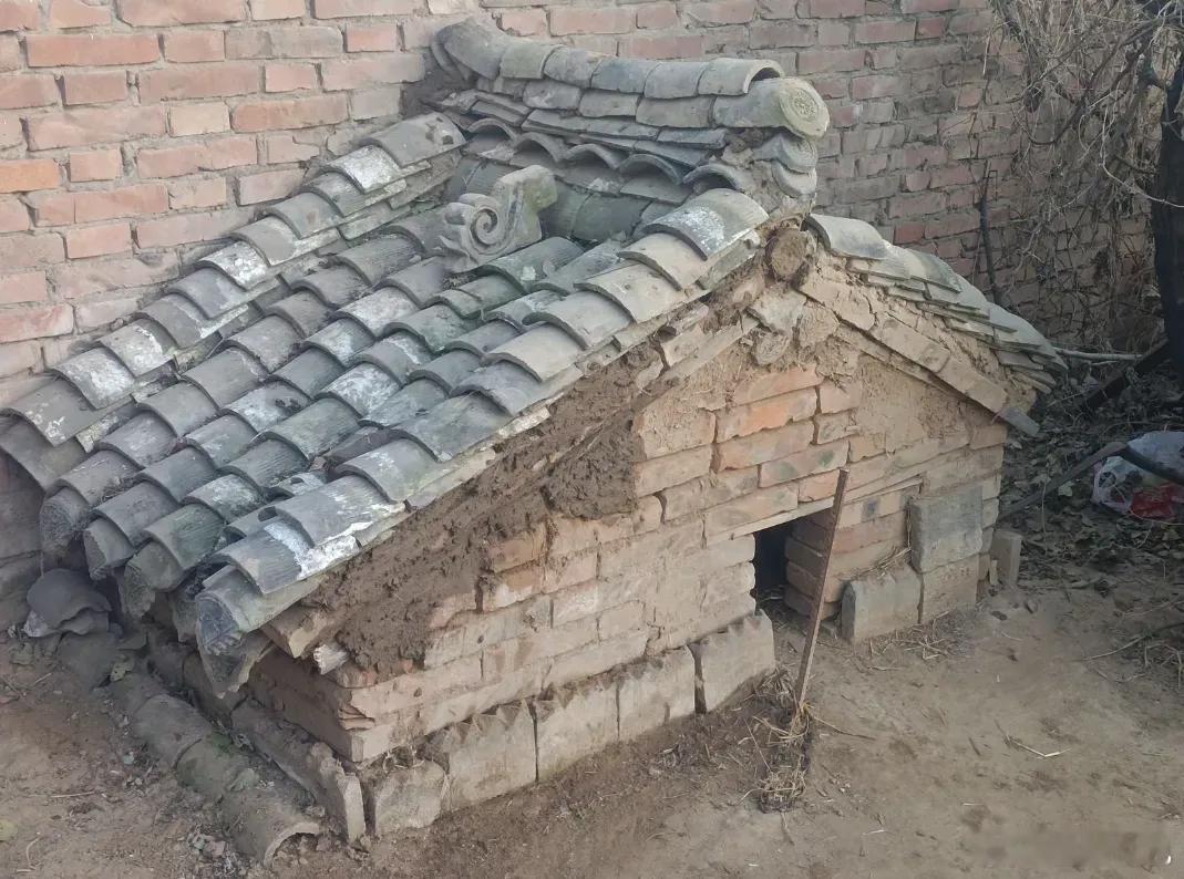 给我家狗狗盖的小屋，终于完工了 ​​​
