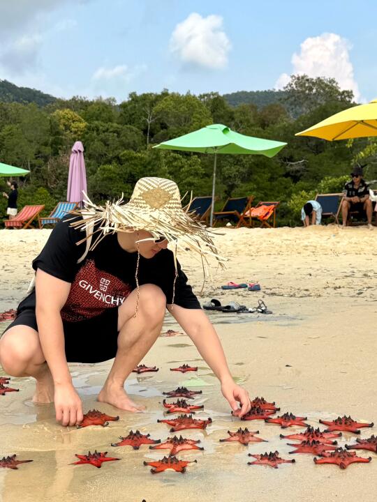海星沙滩🏖️