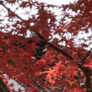 每一个人都有自己的觉醒期，不要强迫他人醒来，每个人都有自己的劫要渡，他自己悟到，