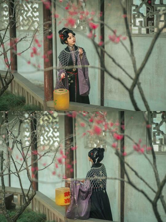 沧浪亭｜潮湿的绿意和梅花