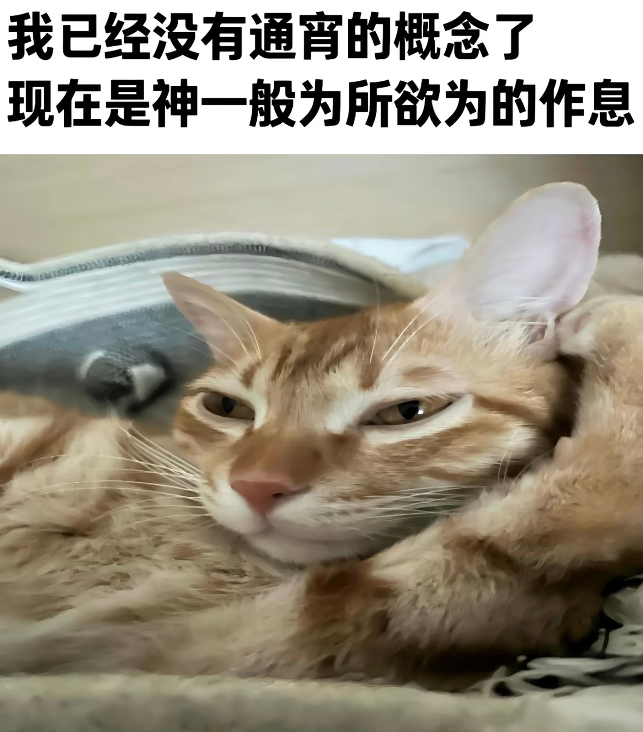 几点睡就几点睡几点起就几点起 