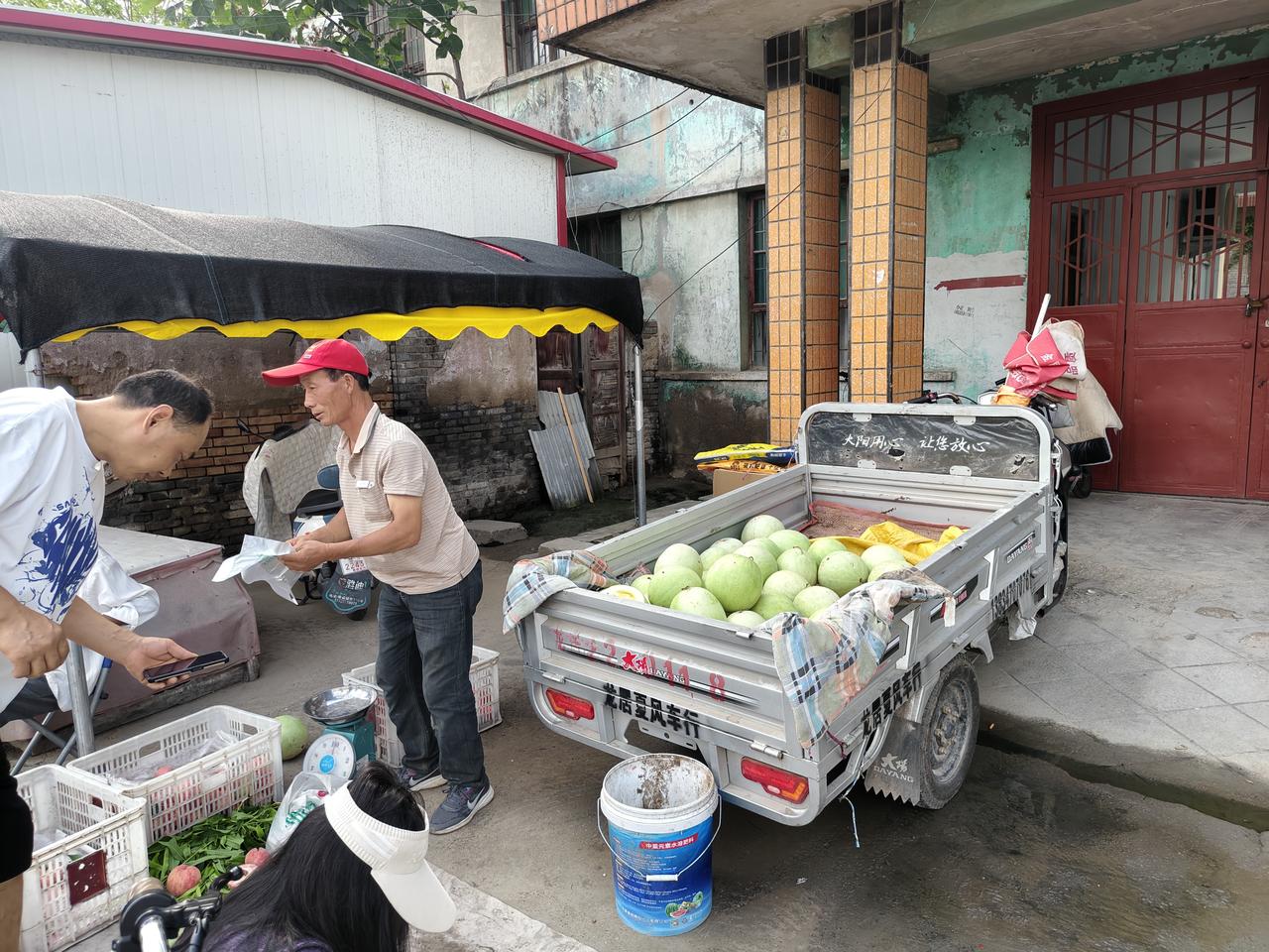 在运城盐湖西街早市，夏县的这位师傅，他拉着自家地里产的雪里红瓜来运城来卖，一元3