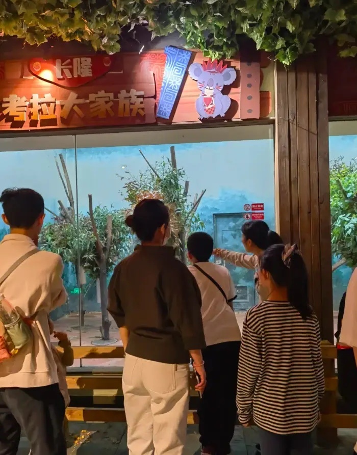 秦海璐春晚后与家人出游，王新军搂着儿子好亲近，10岁儿子高又壮！ 