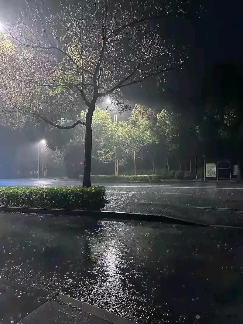 成都这雨下得够烦人的？
又是一天两夜的雨了，
气象预报还播说，本轮降雨还要持续到