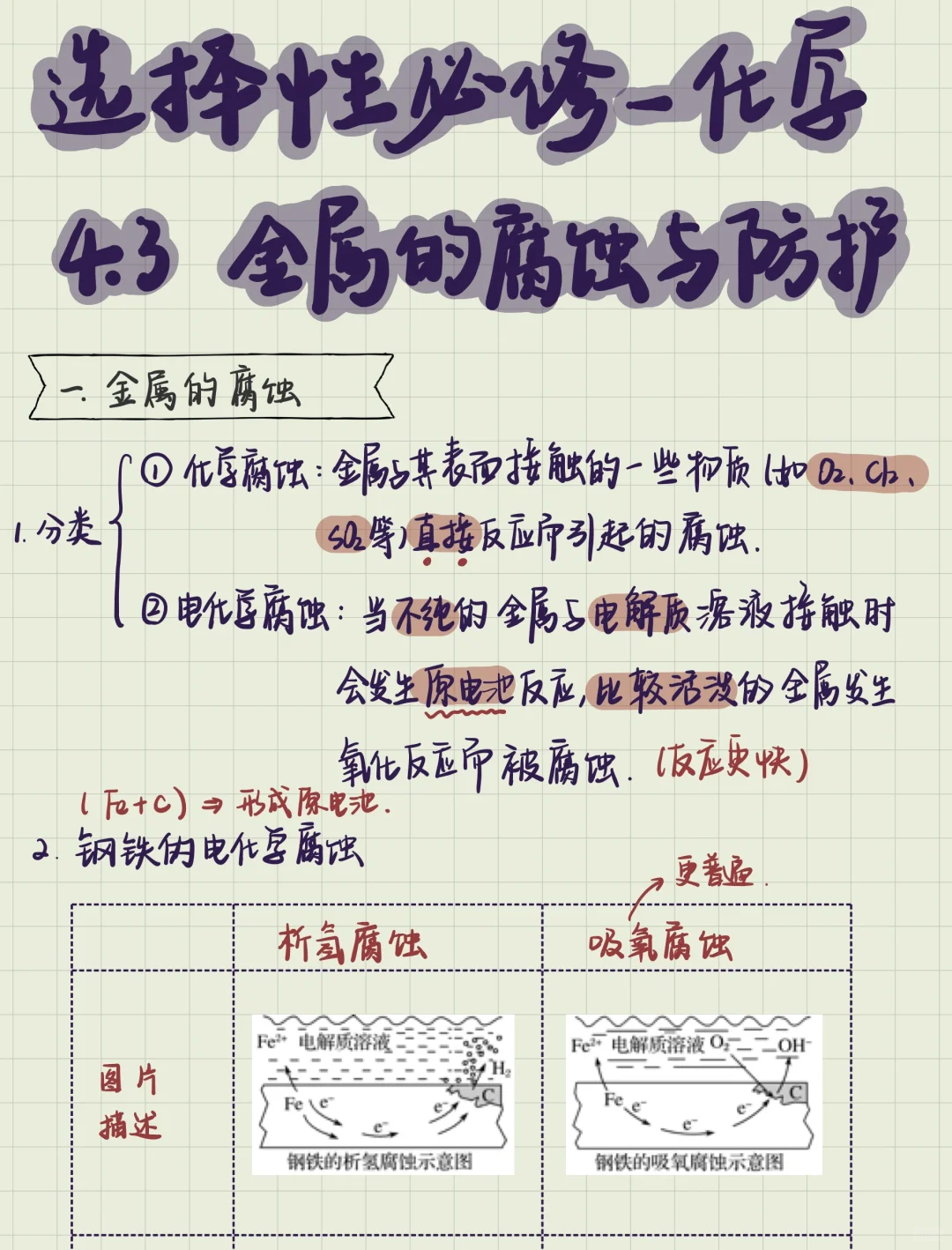 高二化学｜选必一：金属的腐蚀与防护🥹🥹
