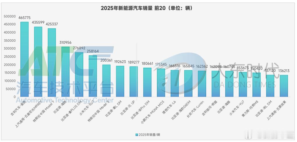 2025全年纯电车top20名单 星愿、MINIEV、Model Y，销量齐破四