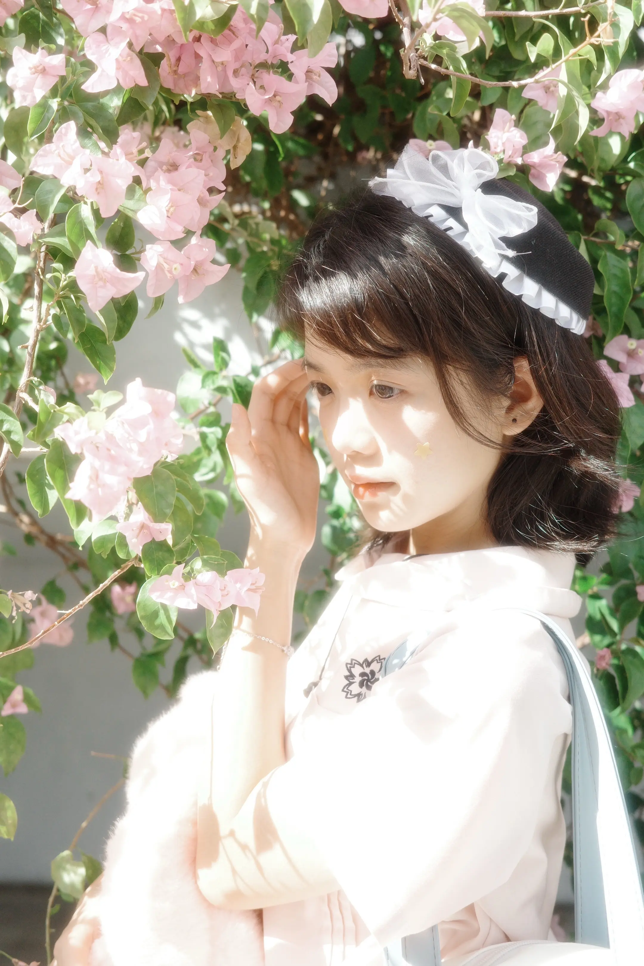 我言秋日胜春朝