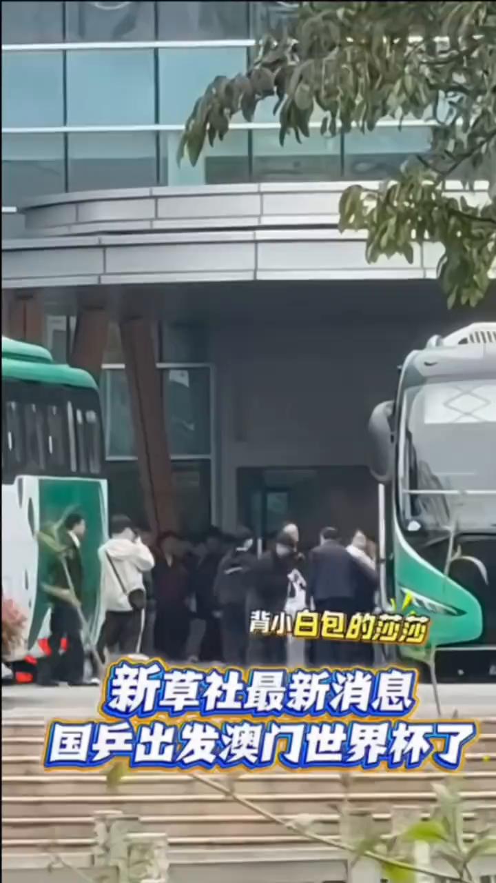 背小白包的莎莎。
新草社最新消息：国乒出发澳门世界杯了。托着脸思考的大头，莎莎，