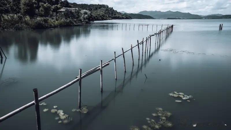 人活得太明白是好事吗？

糊涂一点，心里舒服；通透一些，眼里不揉沙。可人间诸事，