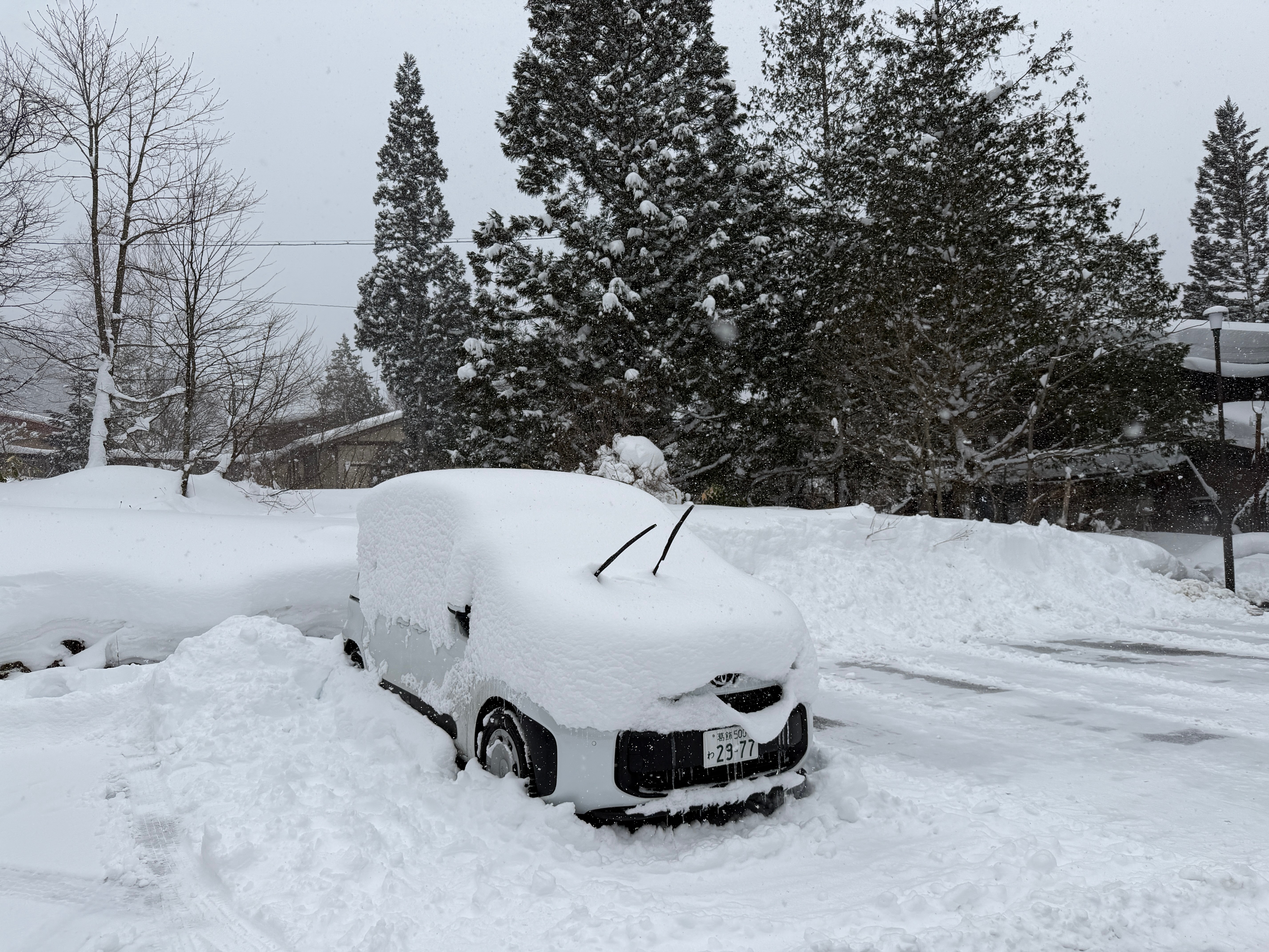 有点厉害👍🏻 日本·深山樱庵(Ryokan Miyama Ouan)