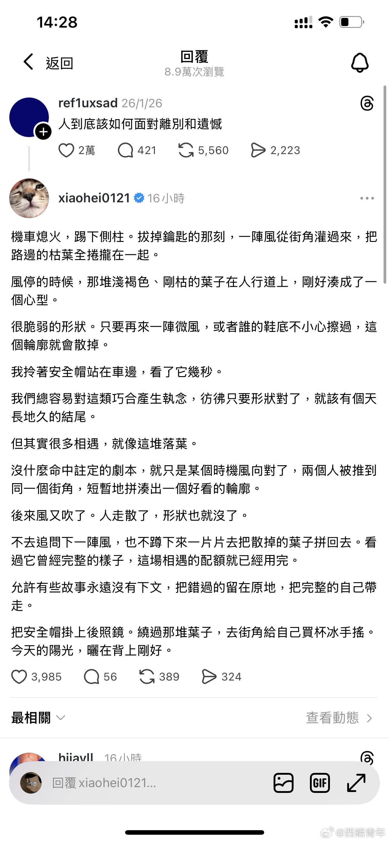 “文字从来没有让人瞬间愈合的魔法，人在最痛的当下，其实是听不见风声的。”“庆幸你