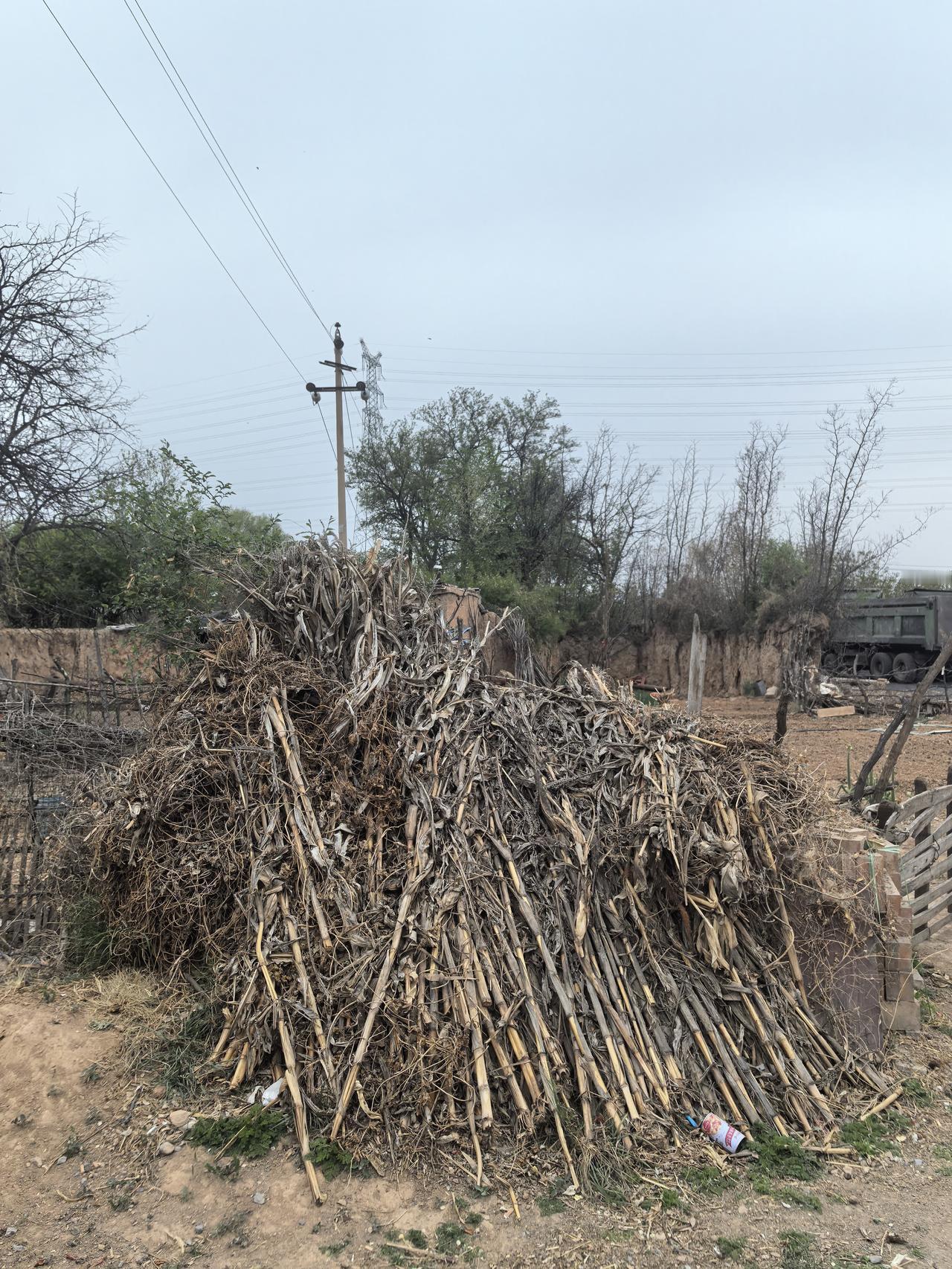 枯枝堆中藏古意，岁月静好待春归。