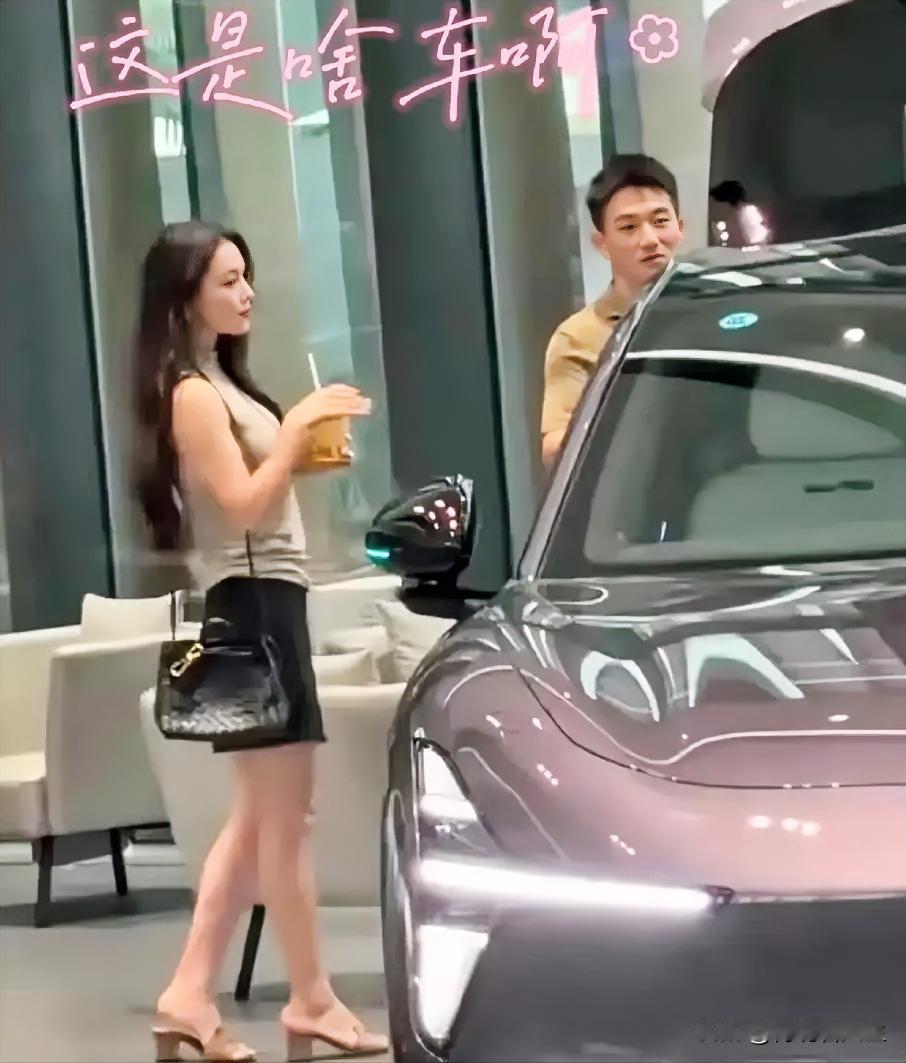 看到张馨予和何捷去车行看车，心里挺感慨的。

两口子逛的是十几万的代步车，何捷在