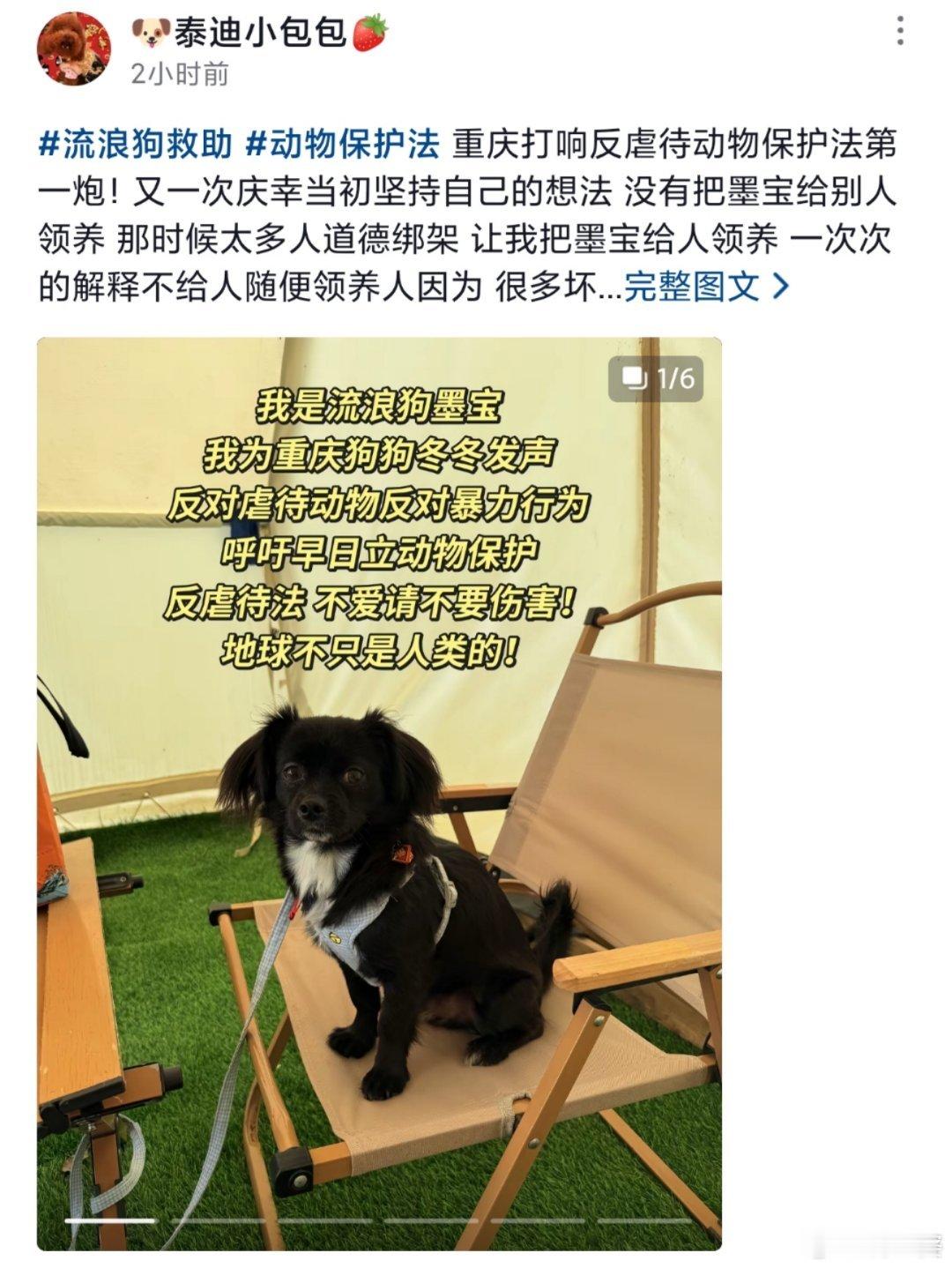 -各地的家长们也纷纷带着毛孩子发声！！重庆山姆打包哥