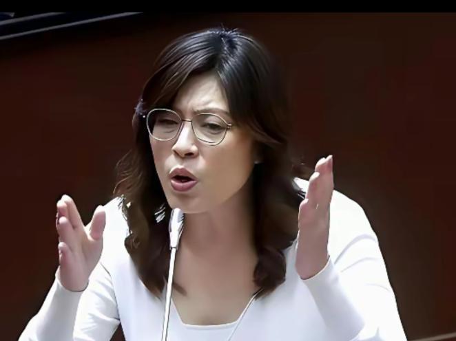 为何有人说台湾蓝营早就摊牌了？
郑丽文曾在去年11月公开拒绝“一国两制”，不再模