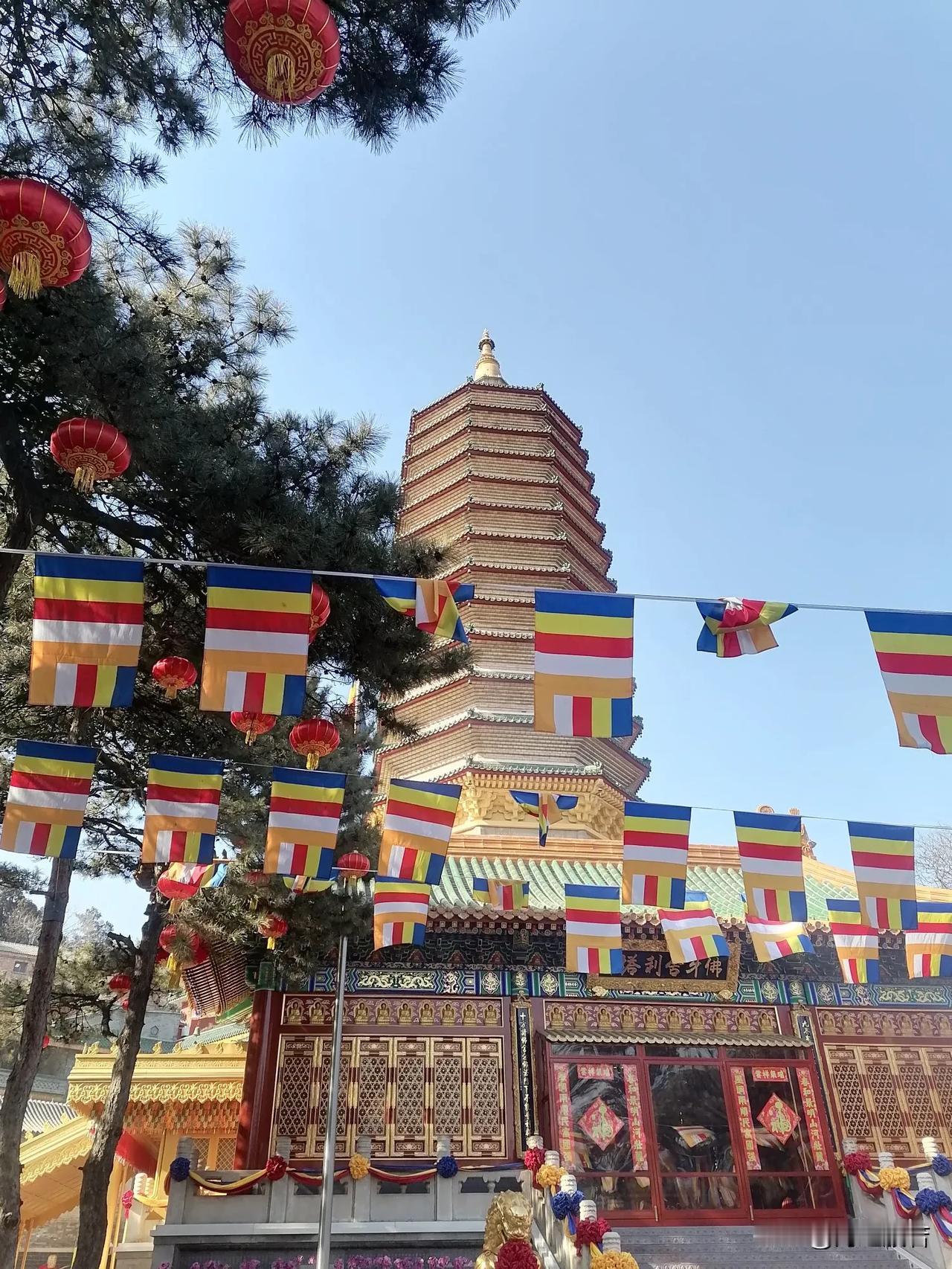 今天去北京八大处公园里的灵光寺，拜佛祈福，给妈妈往生做超度。新年快过去了，公园庙