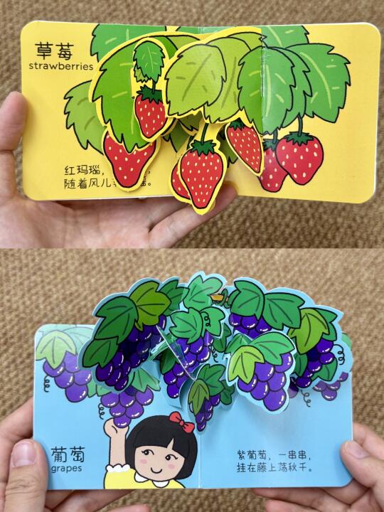 有被惊艳到！这本书也太好玩了吧