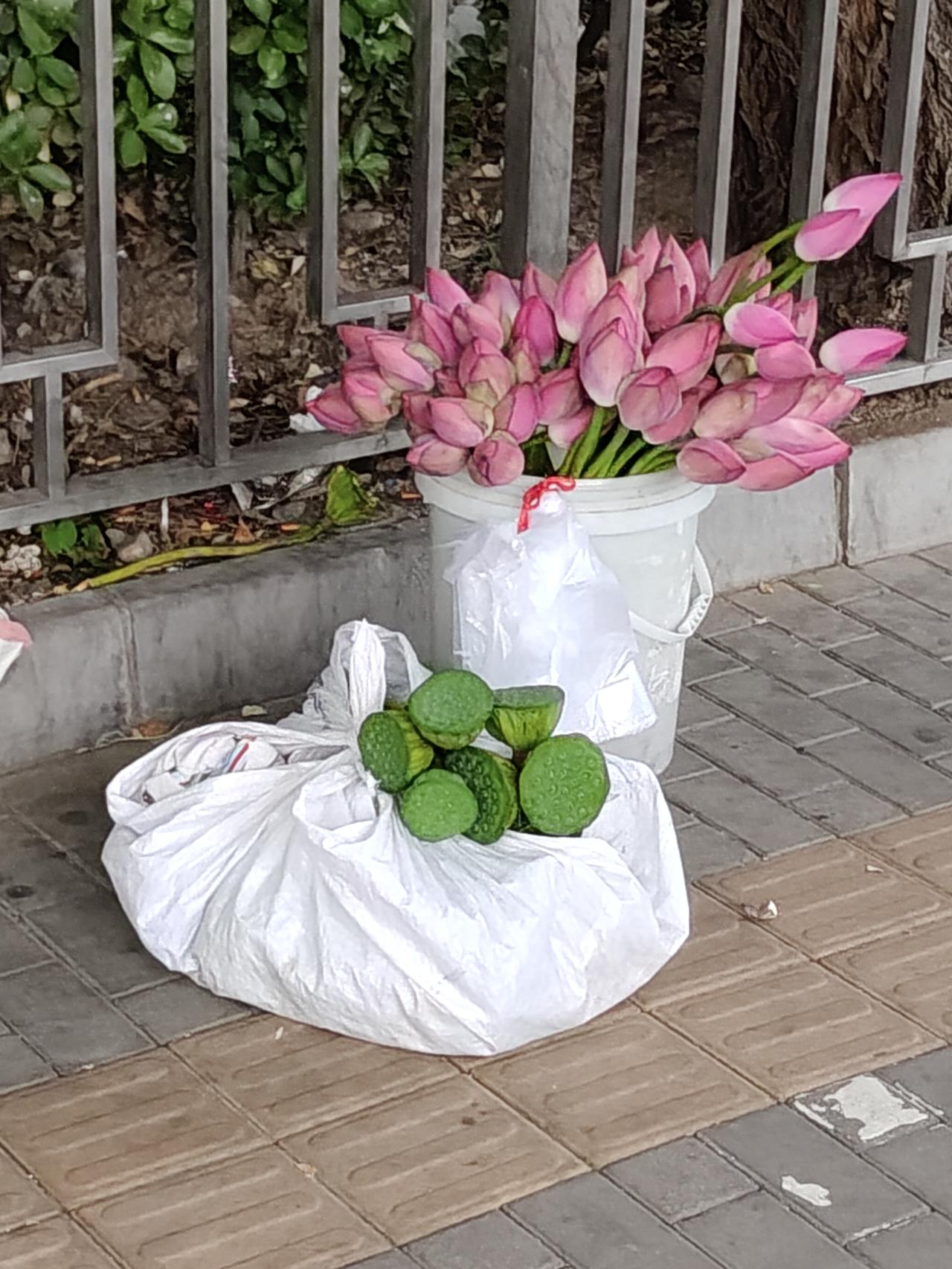 路边遇见卖荷花的壮汉
今天因接电话坐车坐过站，到了六里桥北里。正懊恼着，等换乘别