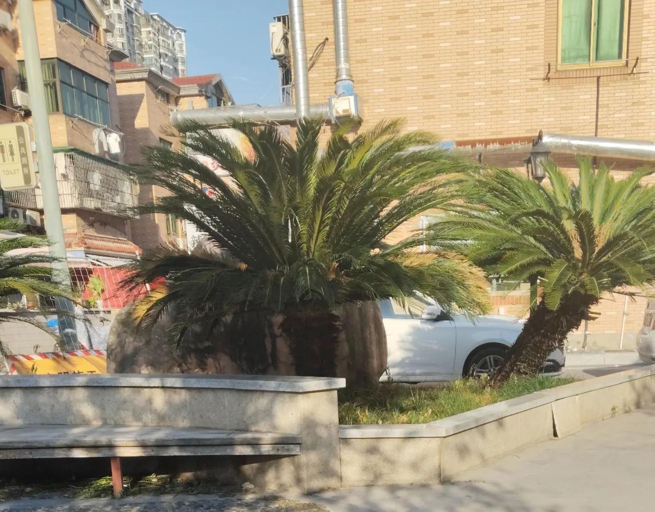 杭州高沙小区，这里有上千间低层民房，打工人租房聚集区。

有位河南信阳老乡，在这