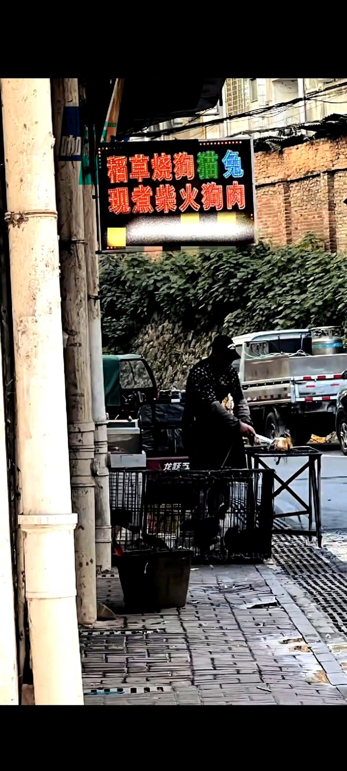 一家饭馆门口，竟然挂着个牌子，上面清清楚楚地写着：售卖流浪猫。
一个路过的游客觉