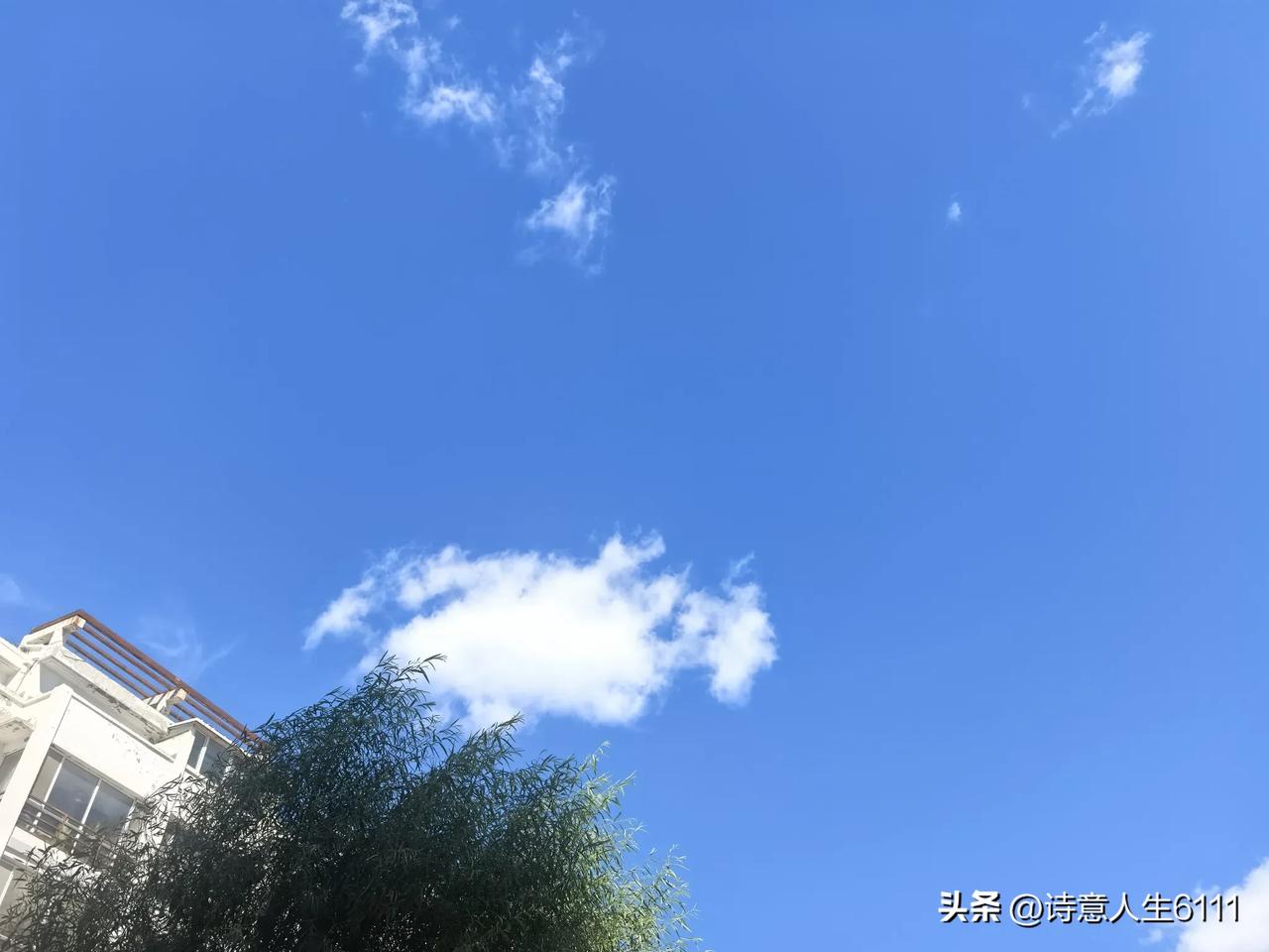 唉，这事闹的，看头条写头条对我来说成了难事了。一是时间没有，二是写的积极性也没有