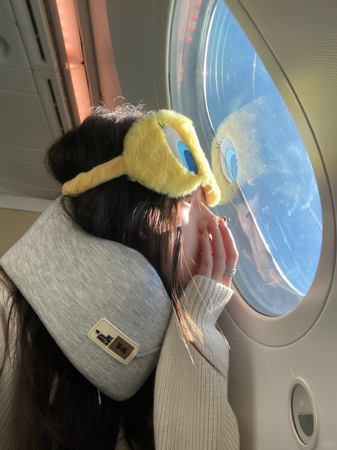 飞行日记✈️💭🐣