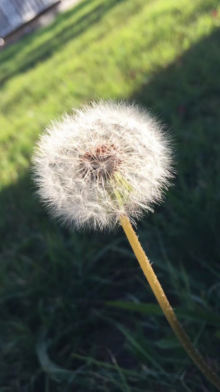 再悲催的生活也不能阻止我们彪悍的斗志和坚定的笑容！ 