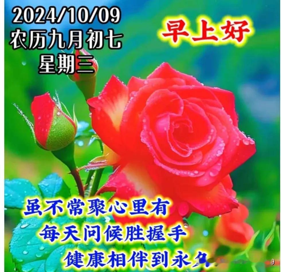 东方太阳刚升起，
清晨问候送给你；
一句早安胜千言，
言语不多情无限；
落叶飘下