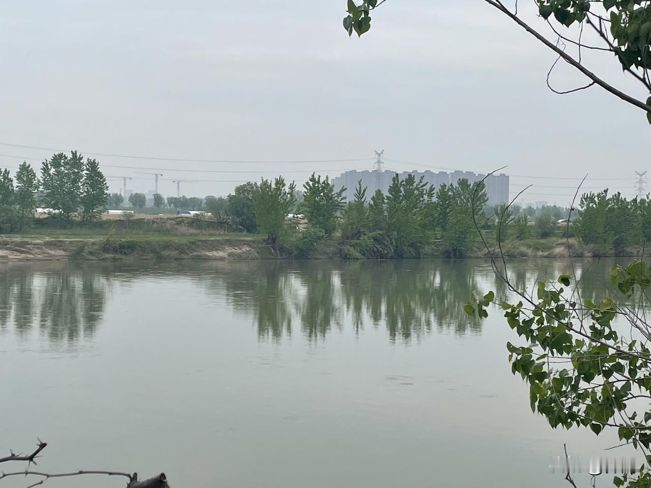 【七绝•衔泥燕子入檐飞】
衔泥燕子入檐飞，采蜜蜂儿坐艳菲。
春色浓浓关不住，山川