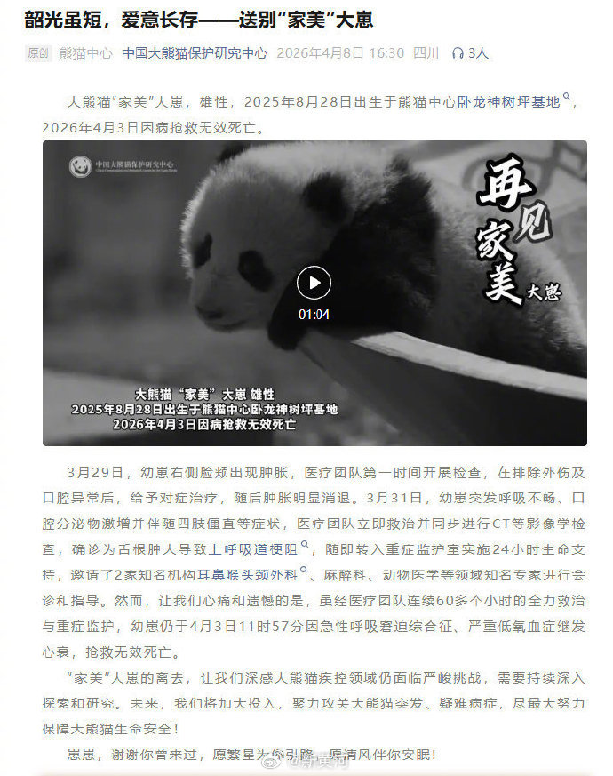 【#大熊猫家美大崽死因情况说明# 】大熊猫“家美”大崽，雄性，2025年8月28