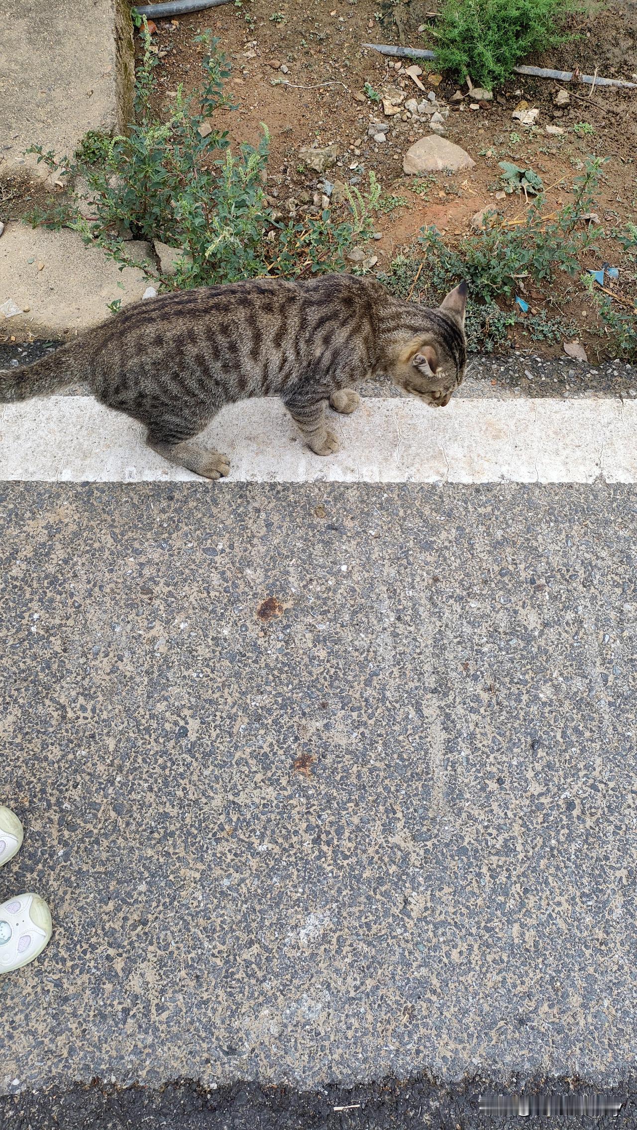 人贩子判什么罪行比较好个人认为死行比较好，这样就不会出来祸害人呢？各网友你们认为