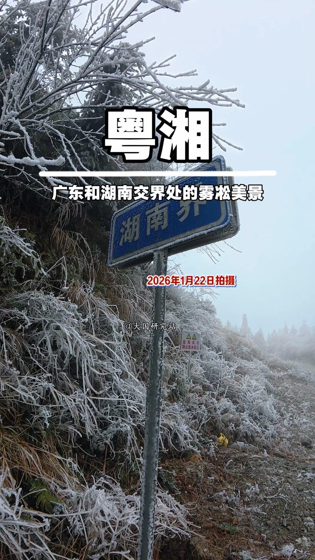湘粤交界的山巅，湖南已银装素裹，雾凇挂满枝头，晶莹剔透。而广东这边，只有些冰凉的