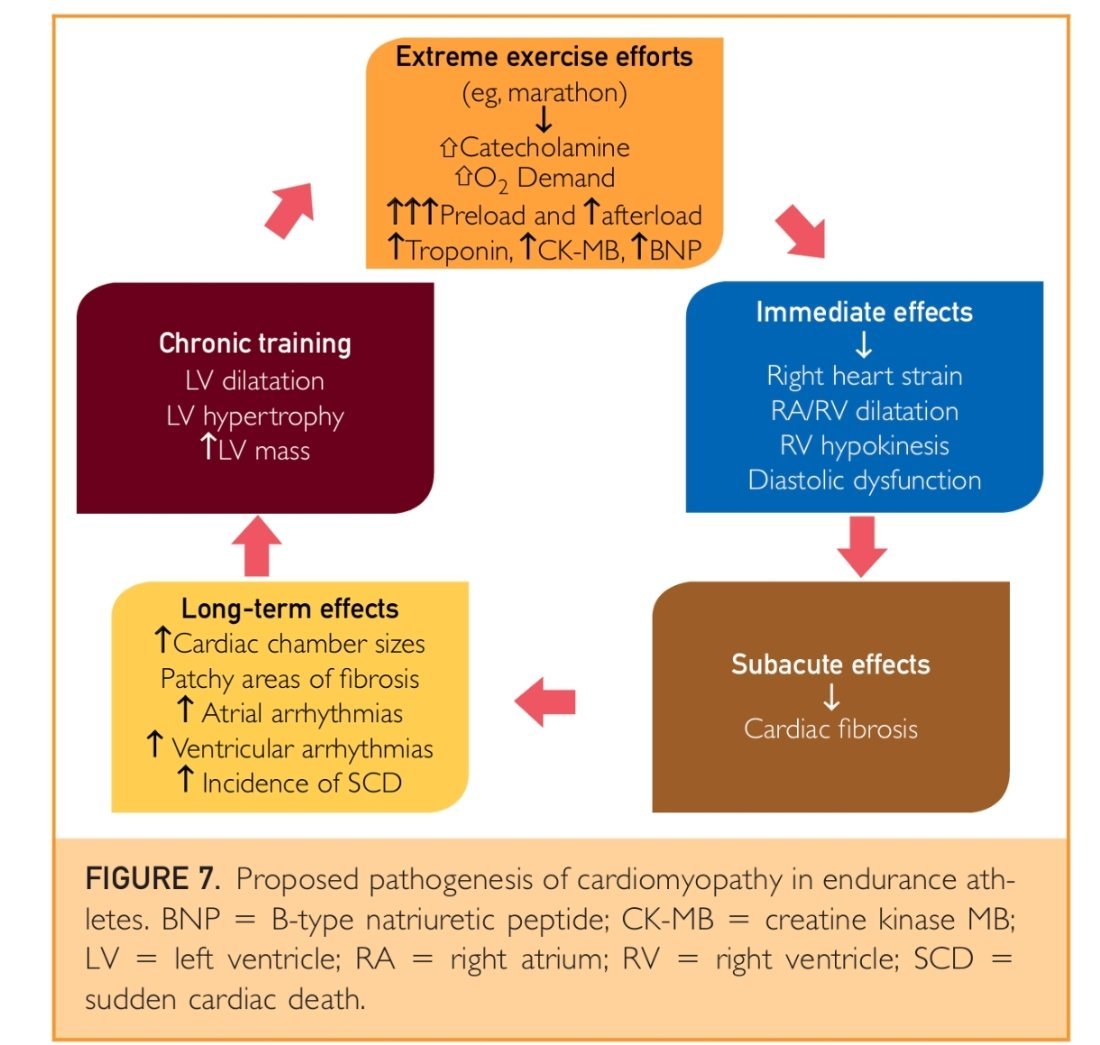 张雪峰近日在朋友圈打卡跑步7公里他以前因为心悸住院过，希望他这次没事。¹ 还是觉