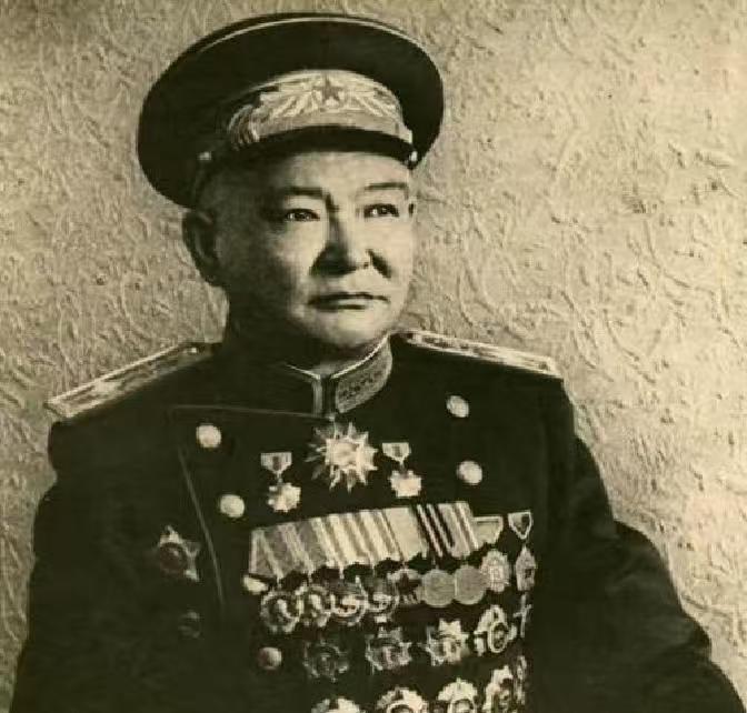 看清这个胸前挂满勋章的人，他是中华民族的罪人，就是他和外人勾结，把外蒙古硬生生推