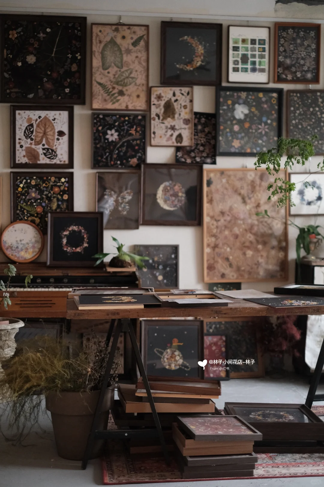 把标本展搬到家里是一种什么感觉？