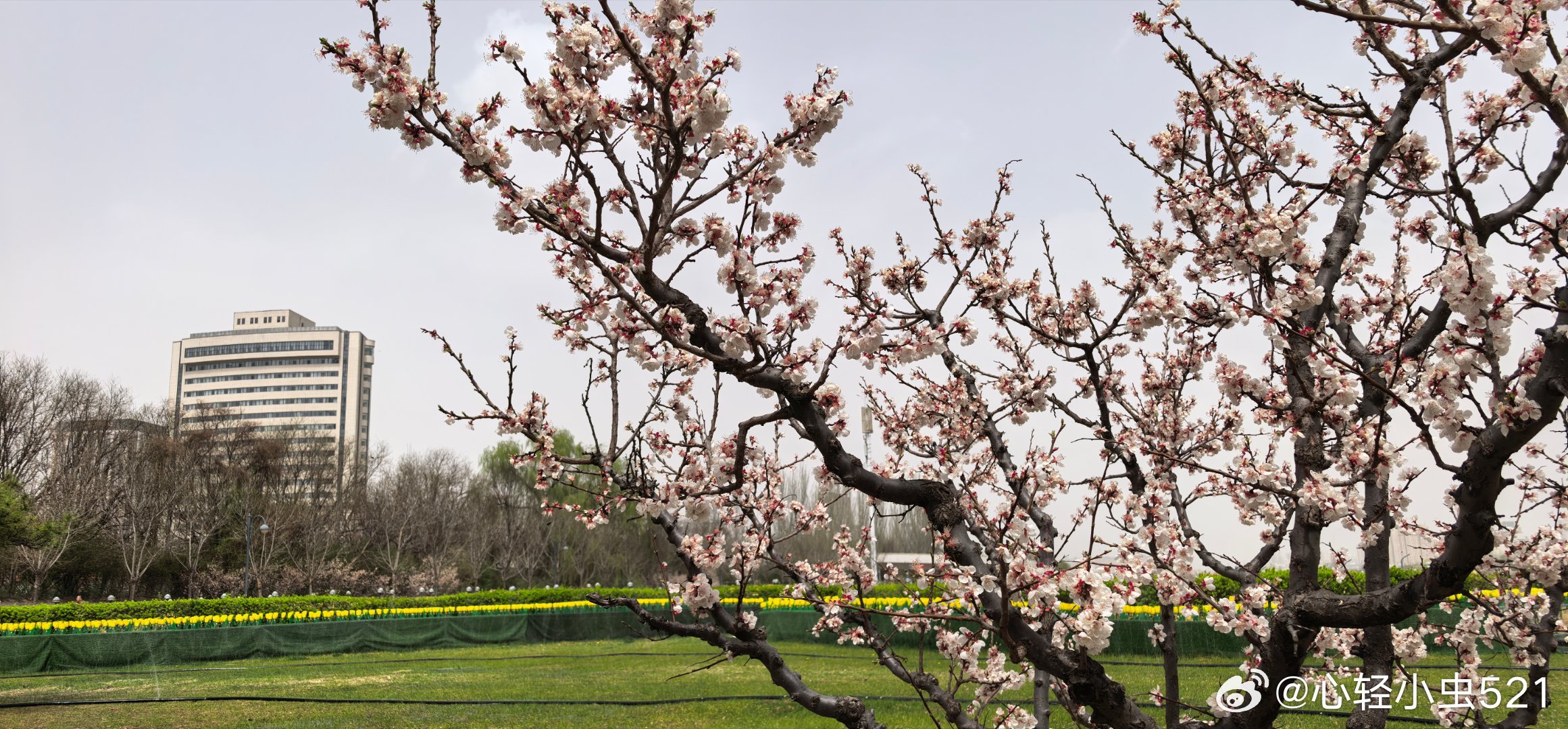 此刻，迎着阳光慢慢走太原汾河公园  省博物院段 