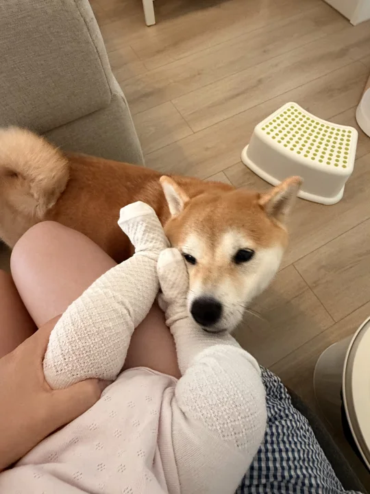 二胎家庭如何一碗水端平[doge]