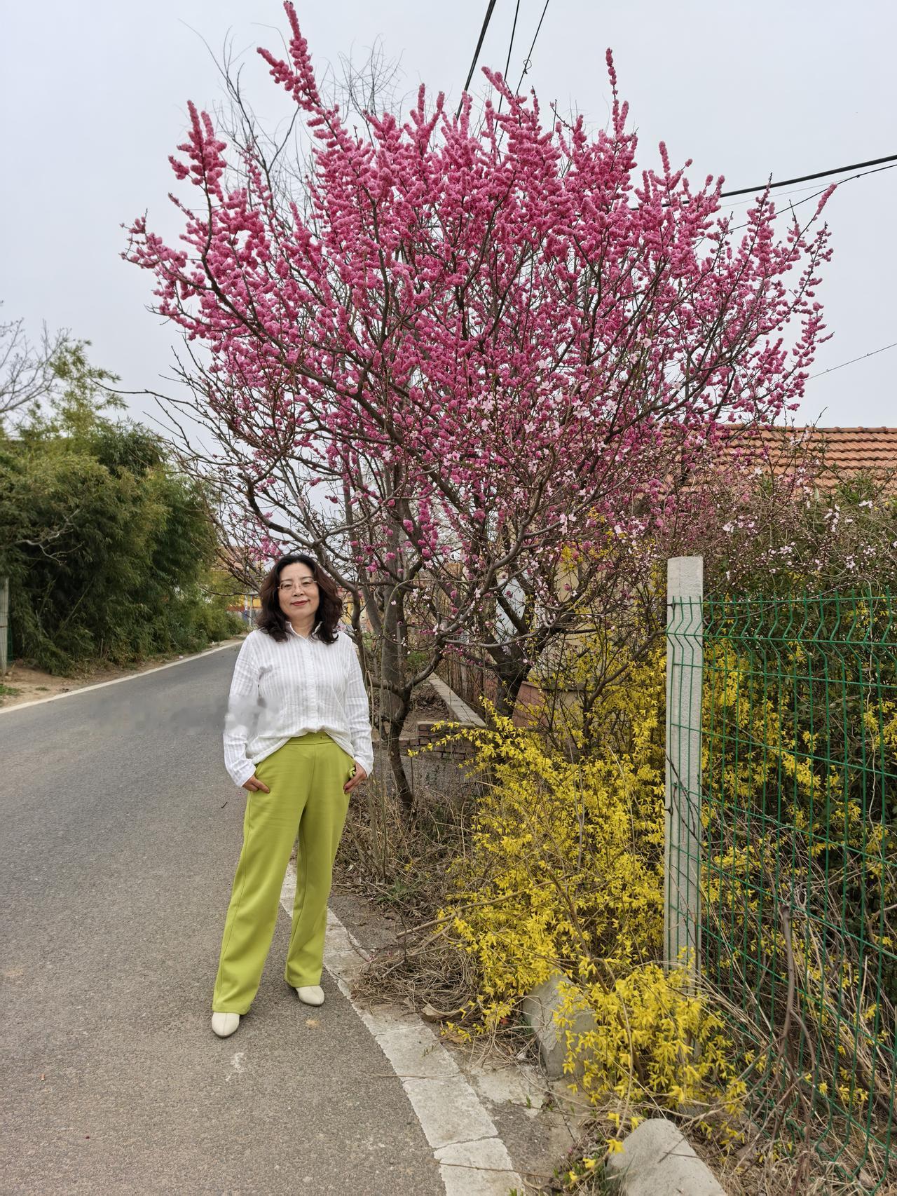 山花烂漫，春风拂面。和哥们媳妇进山挖野菜赏春景。我说以后没事就出来挖菜看风景。她