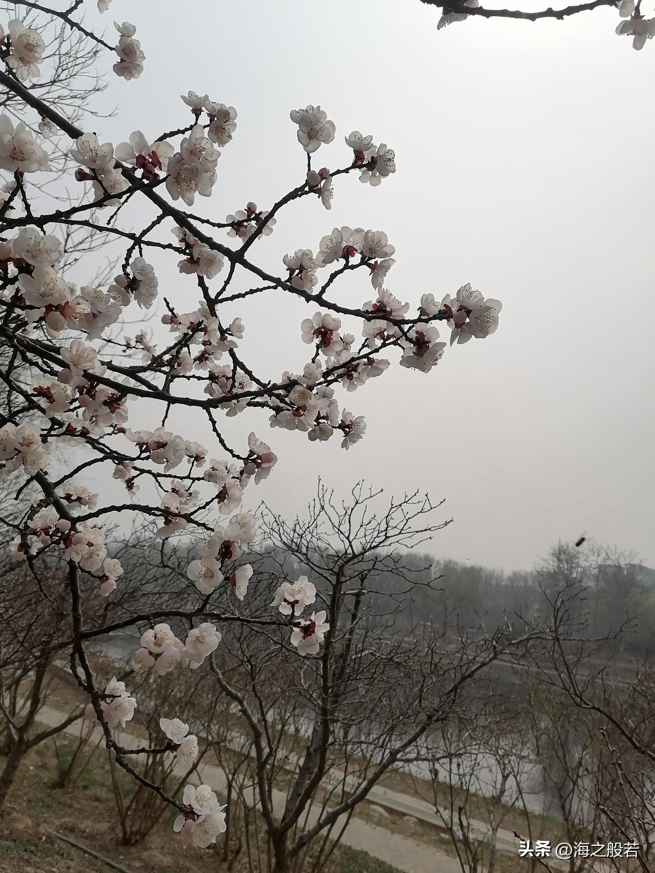 这是一对怎样的夫妻呢。难舍难分还是不能分，22年了，没有夫妻情分，总得有点队友情