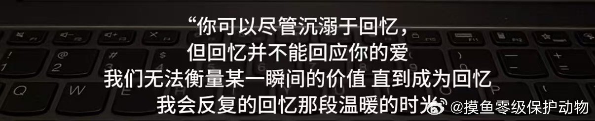 回忆脑比恋爱脑可怕 有人说时间能冲淡一切，骗人的。时间只是让你习惯了疼，就像习惯