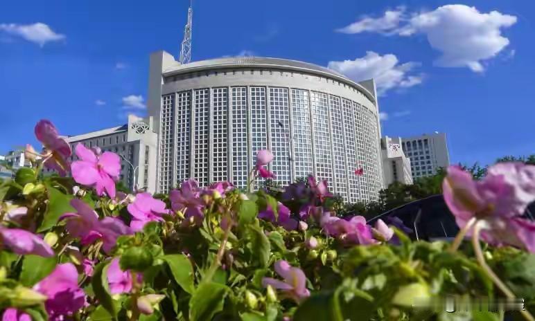 中国首提“日本应完全解除武装”，“大反攻”正式开始