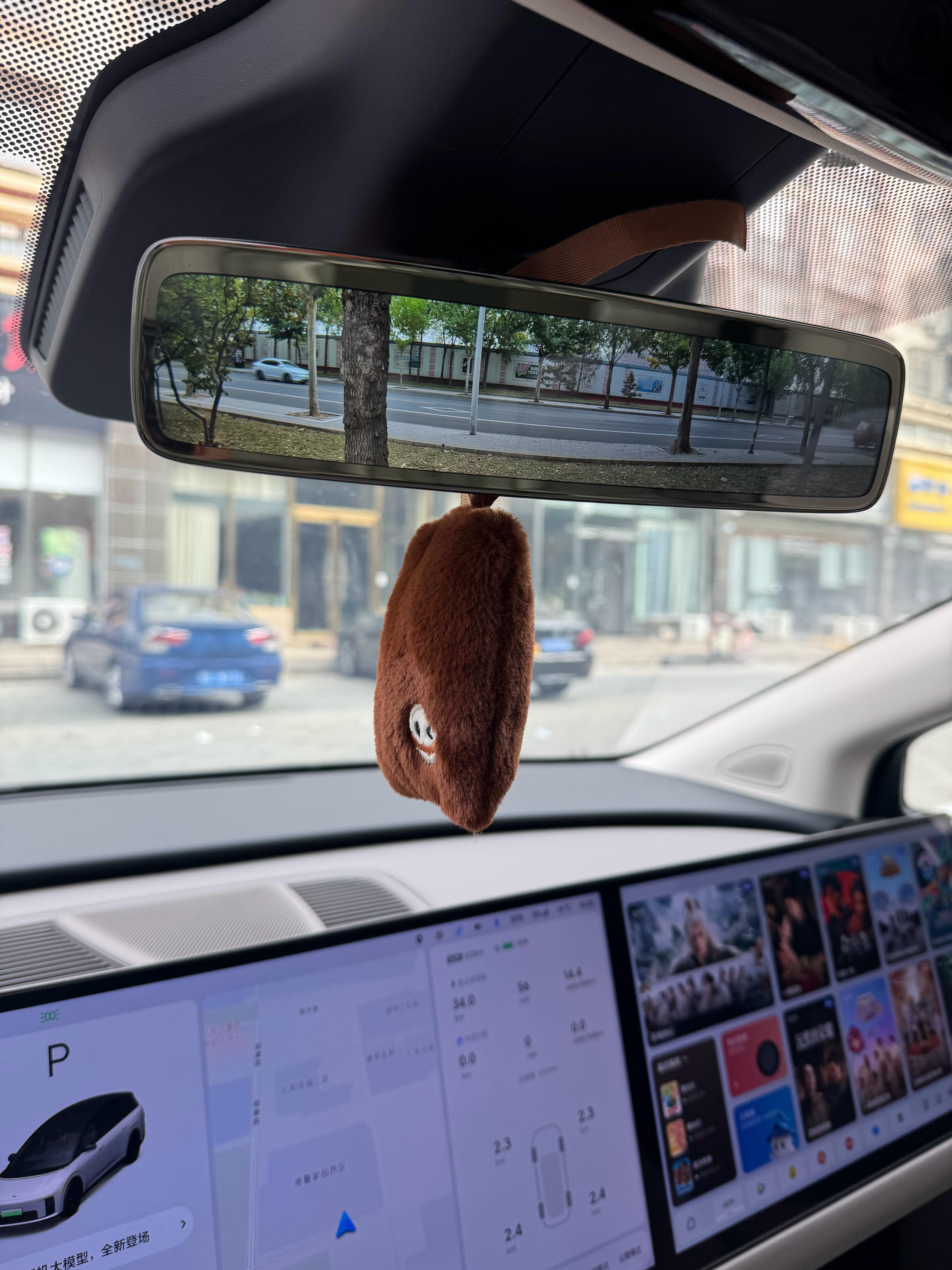 从来没在车上挂过装饰件奈何 i8没有香氛理想i8 ​​​