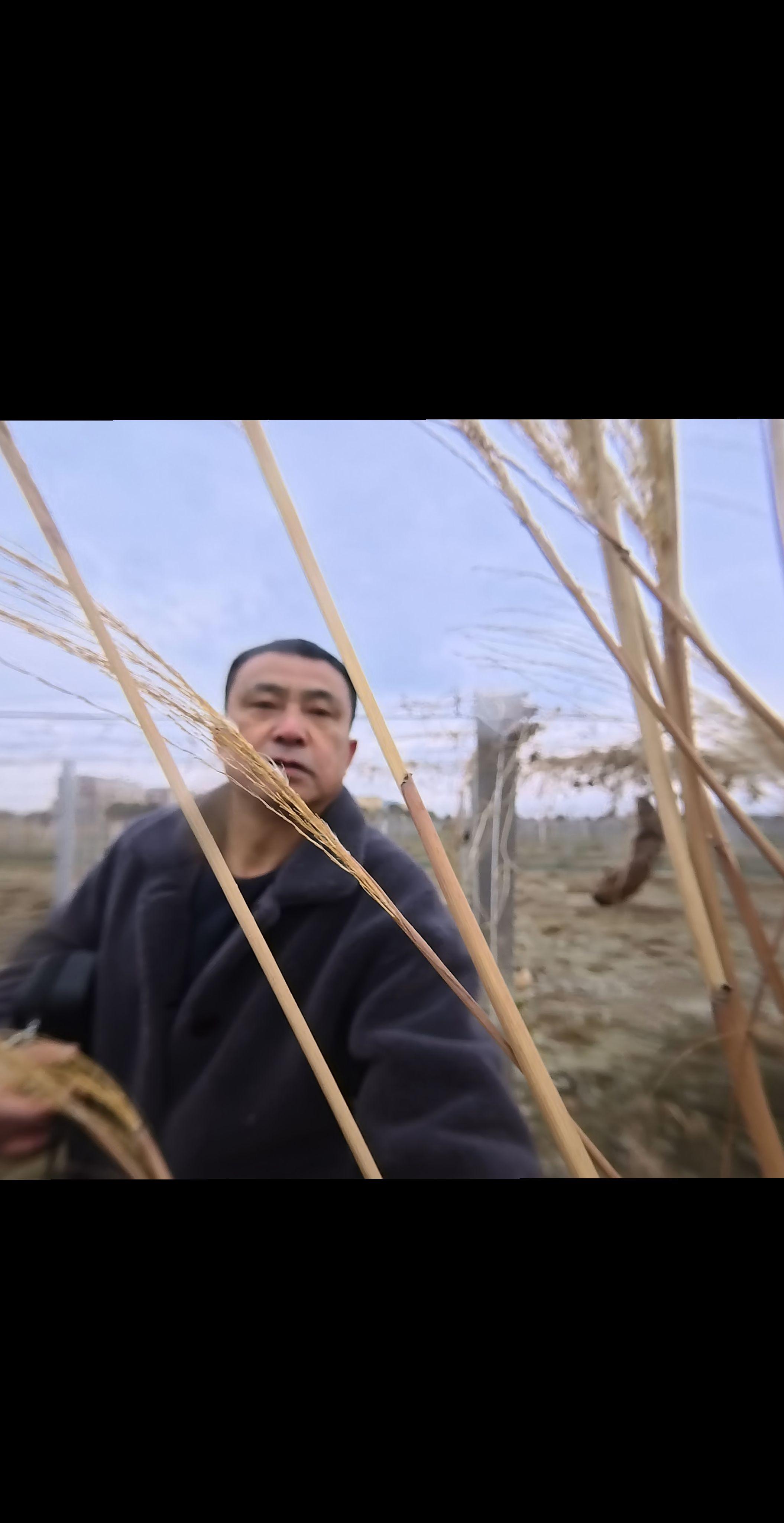 “人生没有白走的路，每一步都算数